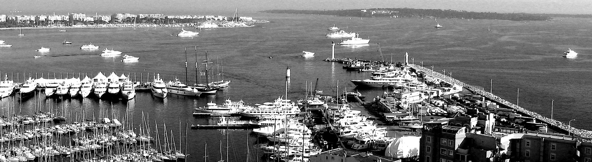 Cannes Harbor black and white